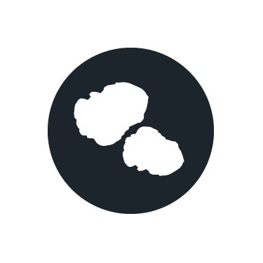 Trufas Alucinógenas